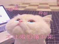 南通蓝港信息技术有限公司