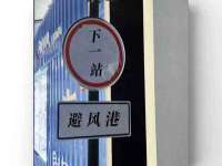 南通蓝港信息技术有限公司