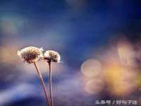 南通蓝港信息技术有限公司