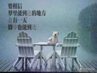 南通蓝港信息技术有限公司