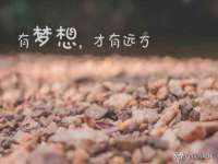 南通蓝港信息技术有限公司