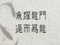 南通蓝港信息技术有限公司