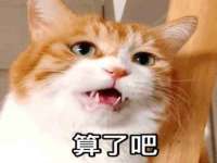 南通蓝港信息技术有限公司