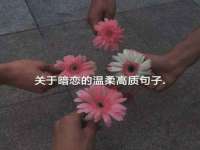 南通蓝港信息技术有限公司