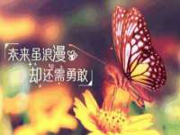 南通蓝港信息技术有限公司