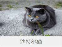 南通蓝港信息技术有限公司