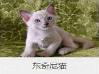 南通蓝港信息技术有限公司
