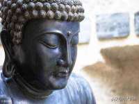 南通蓝港信息技术有限公司