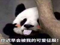 南通蓝港信息技术有限公司