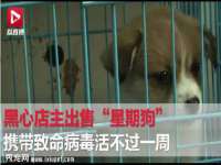 南通蓝港信息技术有限公司