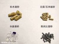 南通蓝港信息技术有限公司