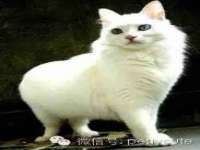 南通蓝港信息技术有限公司