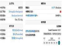 南通蓝港信息技术有限公司
