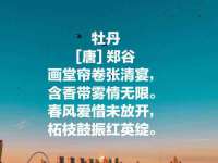 南通蓝港信息技术有限公司