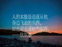 南通蓝港信息技术有限公司