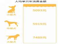 南通蓝港信息技术有限公司