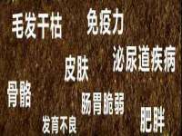 南通蓝港信息技术有限公司