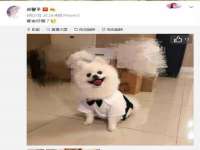 南通蓝港信息技术有限公司