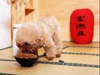 南通蓝港信息技术有限公司