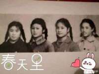 南通蓝港信息技术有限公司
