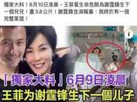 南通蓝港信息技术有限公司