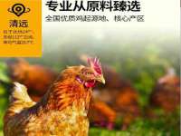 南通蓝港信息技术有限公司