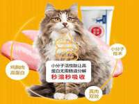 南通蓝港信息技术有限公司