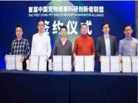 南通蓝港信息技术有限公司