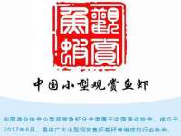 南通蓝港信息技术有限公司