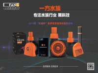 南通蓝港信息技术有限公司
