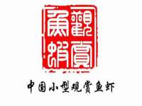 南通蓝港信息技术有限公司