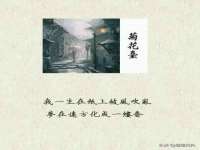 南通蓝港信息技术有限公司