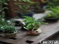 南通蓝港信息技术有限公司