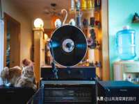 南通蓝港信息技术有限公司