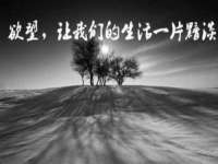 南通蓝港信息技术有限公司