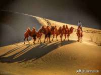 南通蓝港信息技术有限公司
