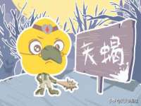 南通蓝港信息技术有限公司