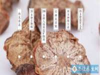 南通蓝港信息技术有限公司