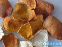 南通蓝港信息技术有限公司