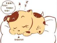 南通蓝港信息技术有限公司