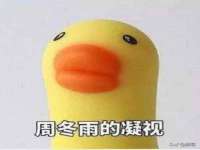 南通蓝港信息技术有限公司