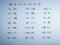 南通蓝港信息技术有限公司